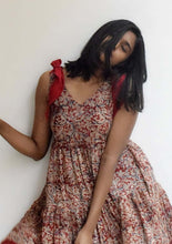 Load image into Gallery viewer, Aki